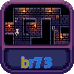 br73